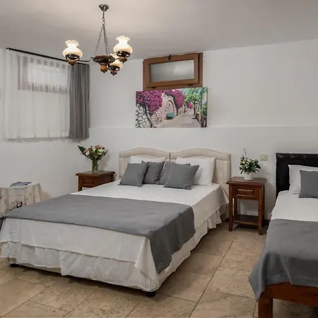 招待所 阿拉卡提可可鲁空娜吉酒店 阿拉恰特