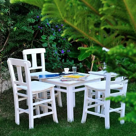 招待所 阿拉卡提可可鲁空娜吉酒店 阿拉恰特