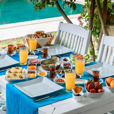 招待所 阿拉卡提可可鲁空娜吉酒店