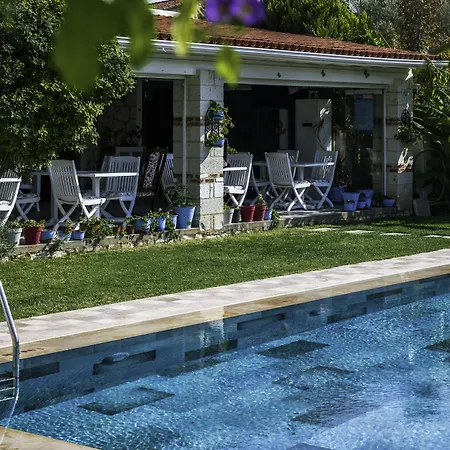 Koclu Konagi ألاتشاتي