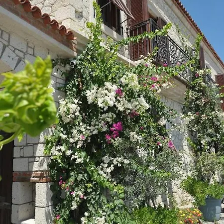 Koclu Konagi ألاتشاتي